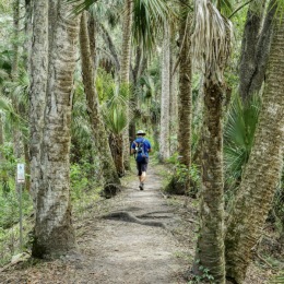 people walking outdoors